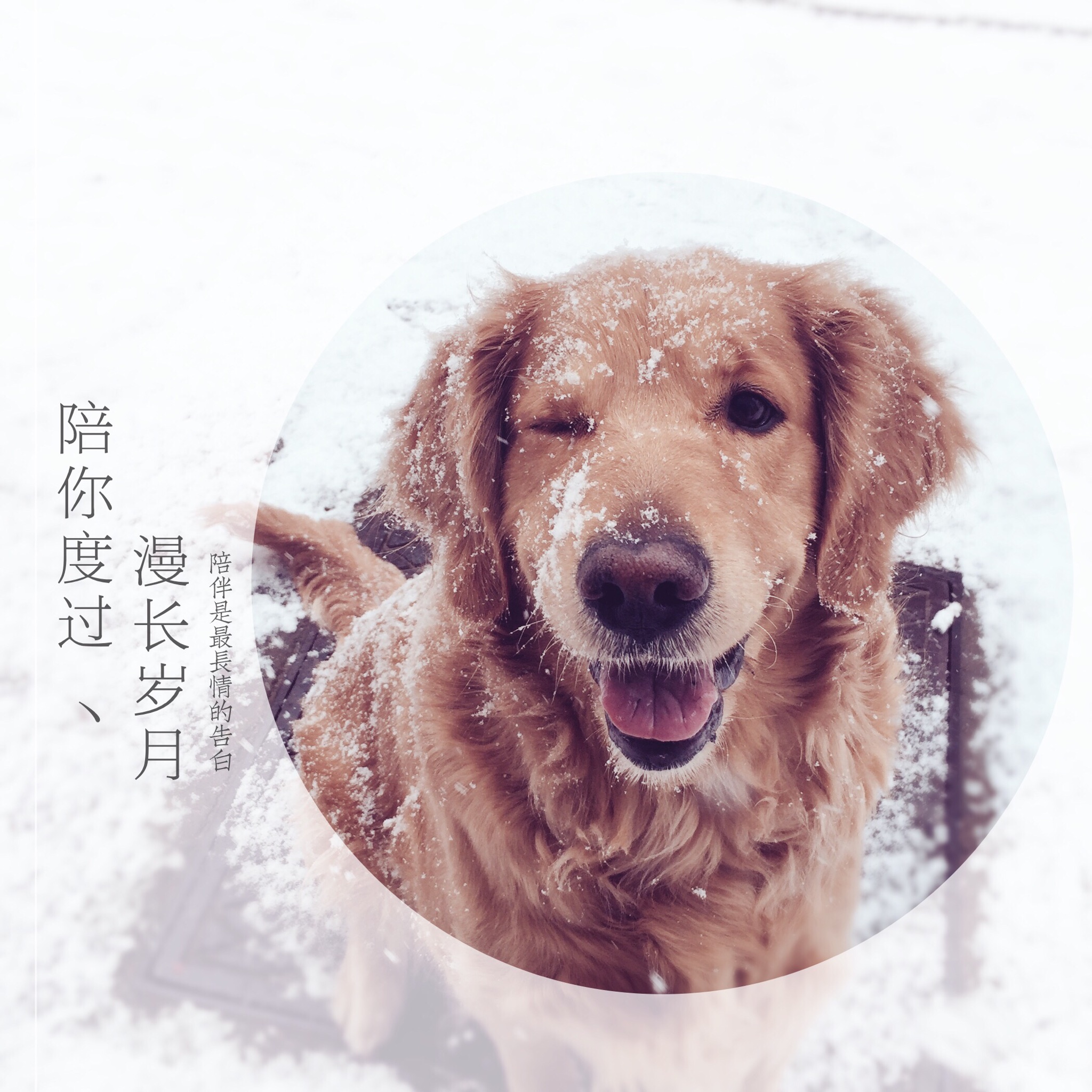 大兄弟上天不