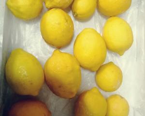 冷冻柠檬片（减肥必备）的做法 步骤3