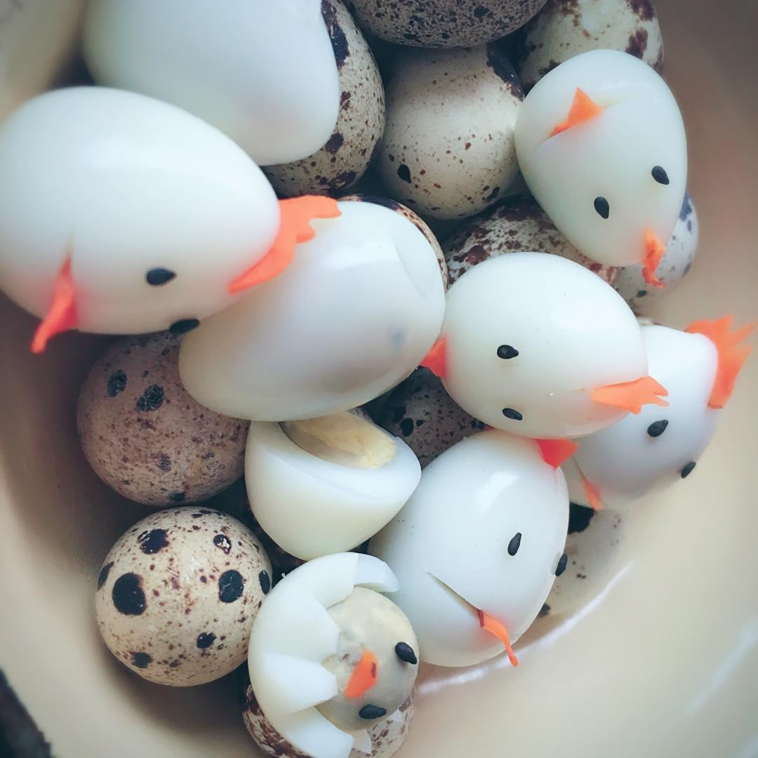 开心鹌鹑蛋小鸡