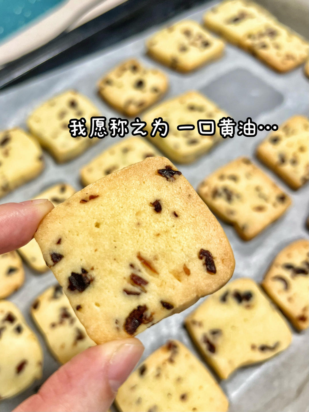 蔓越莓曲奇饼干 最最最简单的黄油饼干