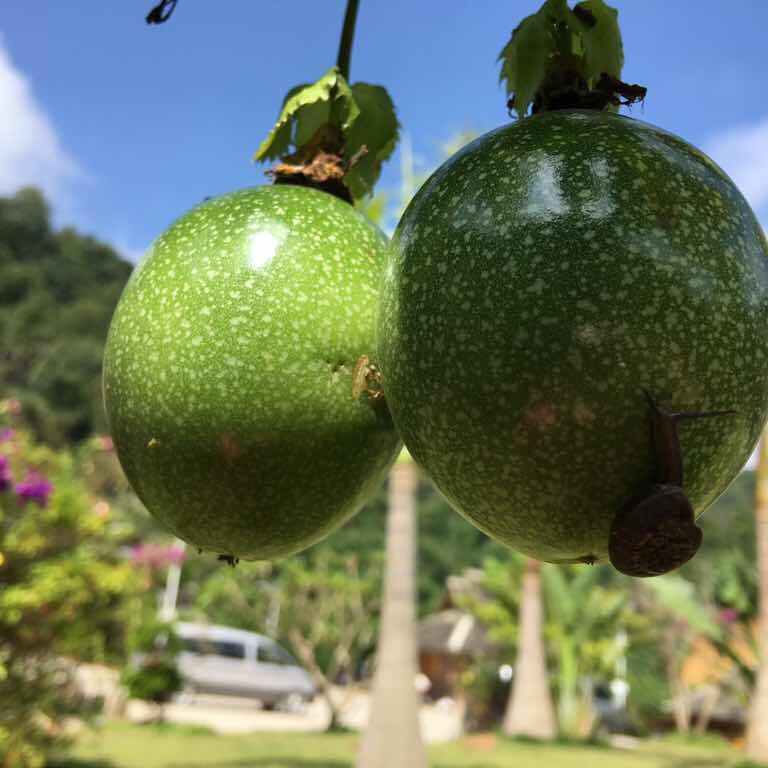 瓦尔登湖-