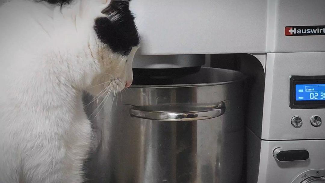 油画面包《蒙娜丽莎的黑猫》