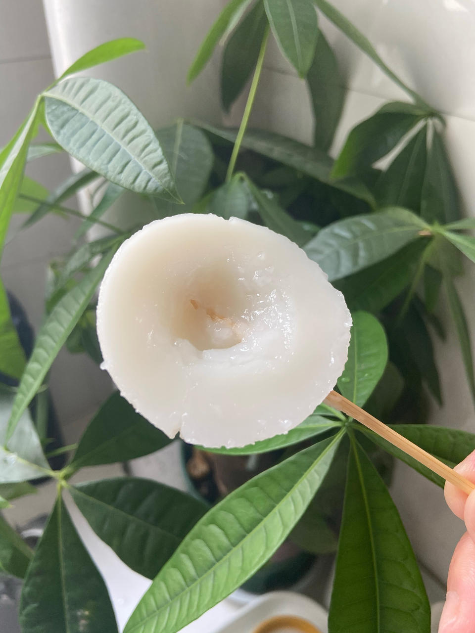 传统钵仔糕（只用粘米粉也能做出Q弹口感的秘诀）