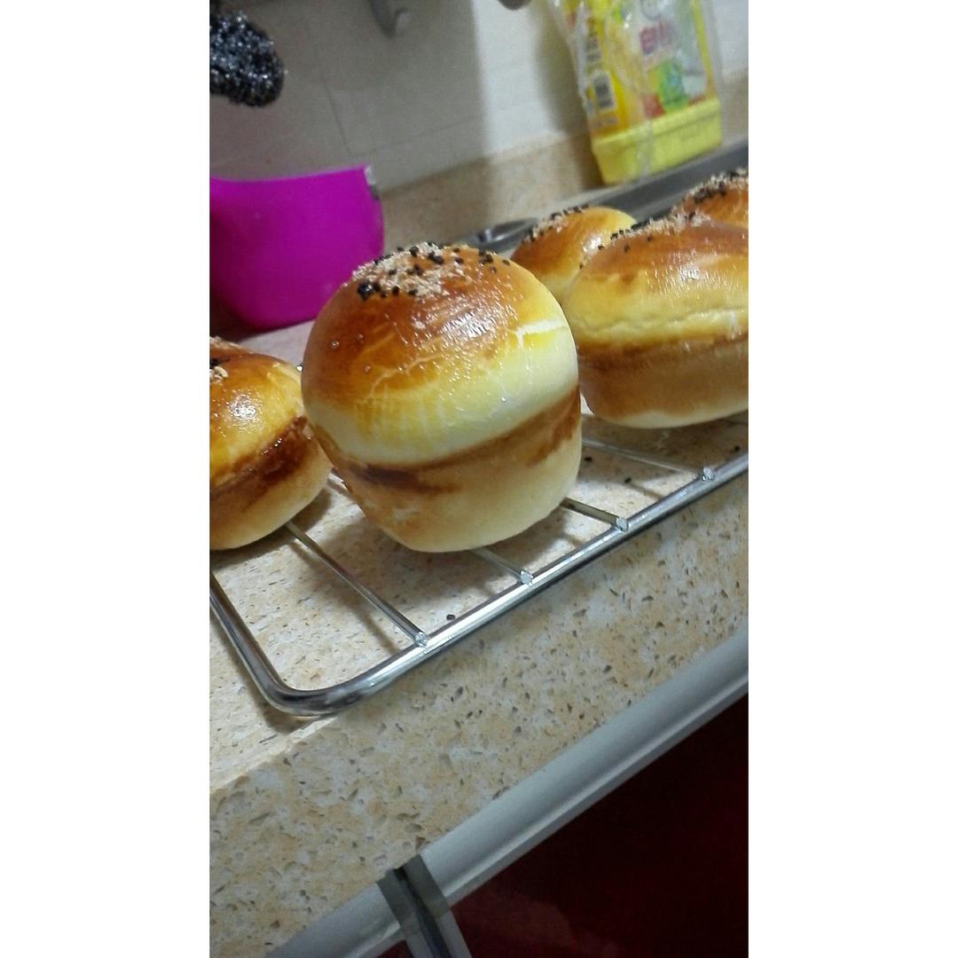 汉堡胚（中种法）