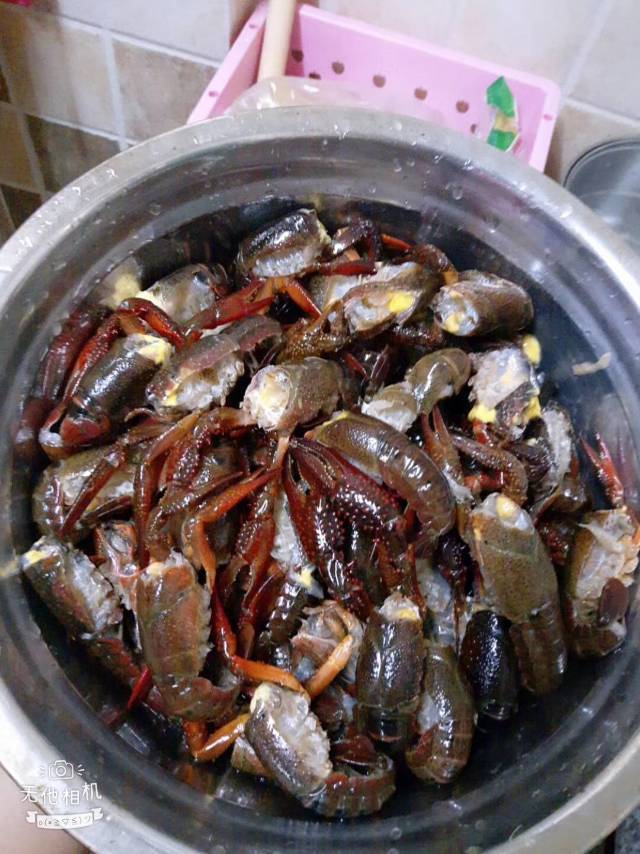 处理小龙虾完整视频