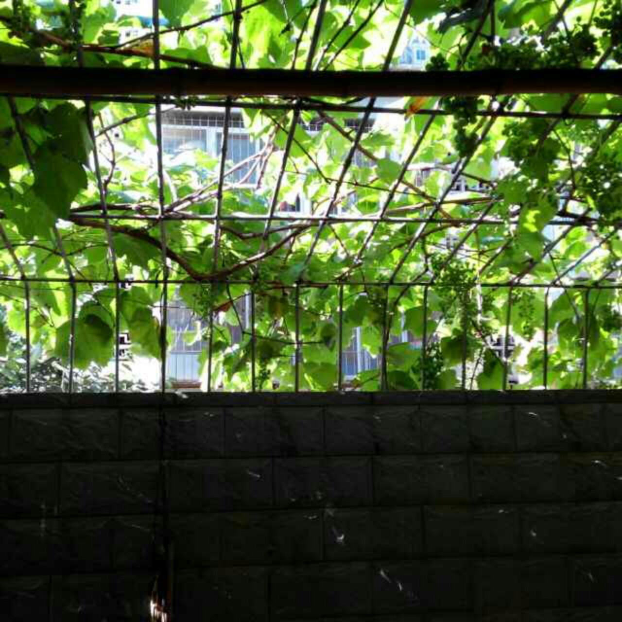 鱼摆摆的半面妆的厨房