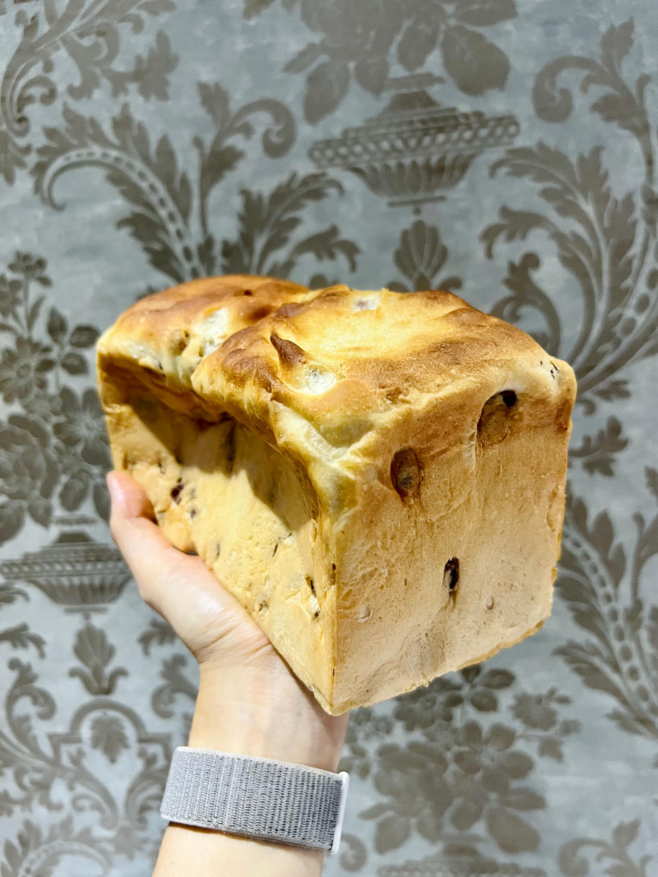 中种葡萄干多多吐司（消耗葡萄干）