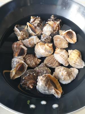水煮海螺（附海螺的挑选方法）的做法 步骤1