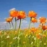 手机用户8600_dj9i