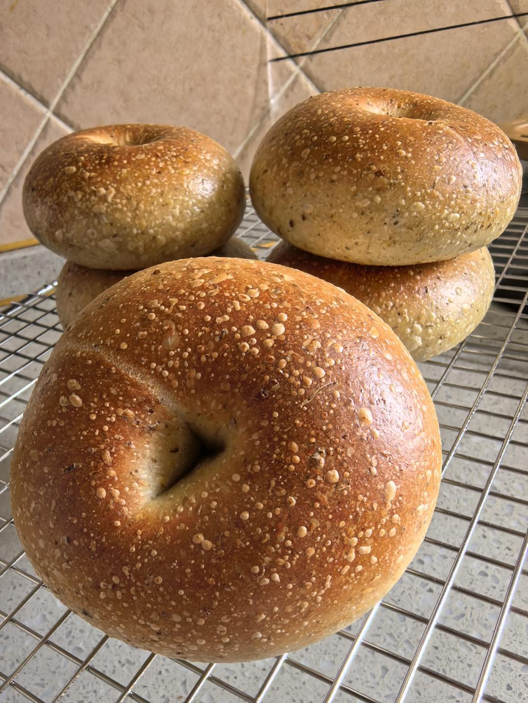 🍁秋日桂花贝果丨鲁邦种隔夜气囊贝果