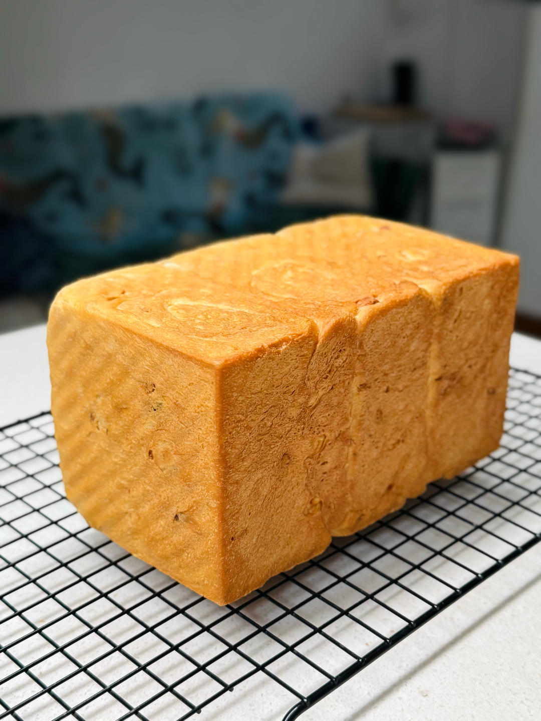 超级日常的快手吐司🍞
