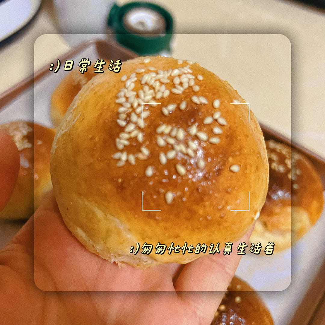 全麦餐包