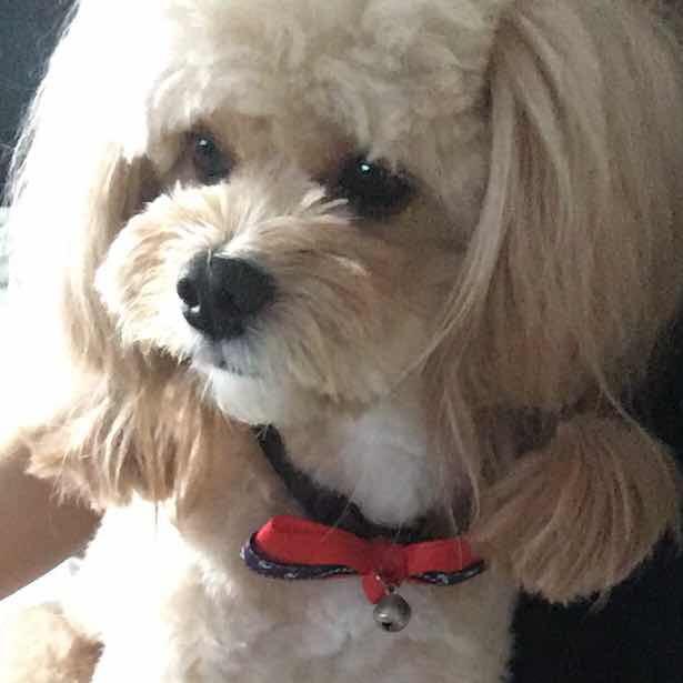 可可可可可可可可可123