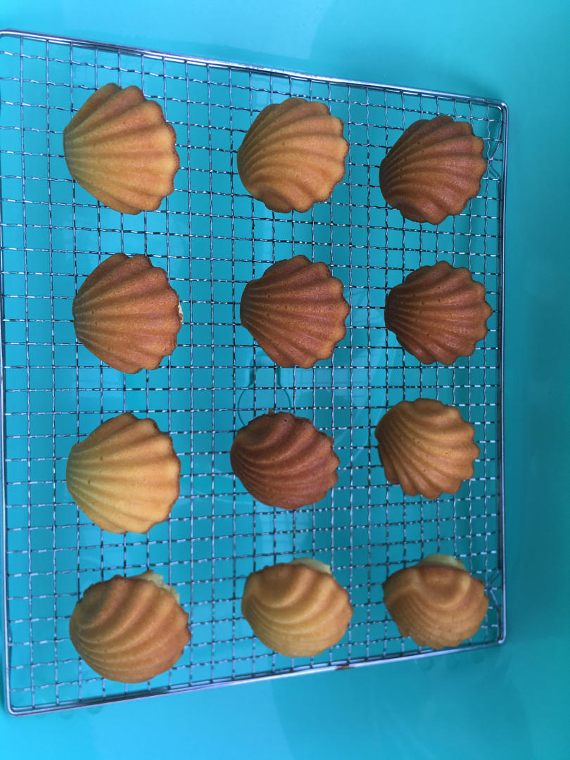 玛德琳（蓝带方）