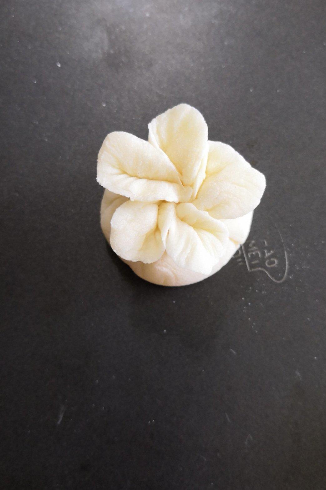 白菜饺