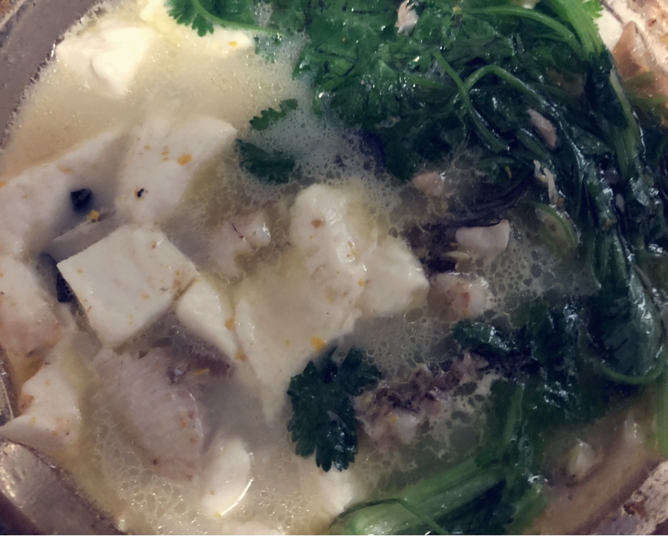 昂刺鱼豆腐汤