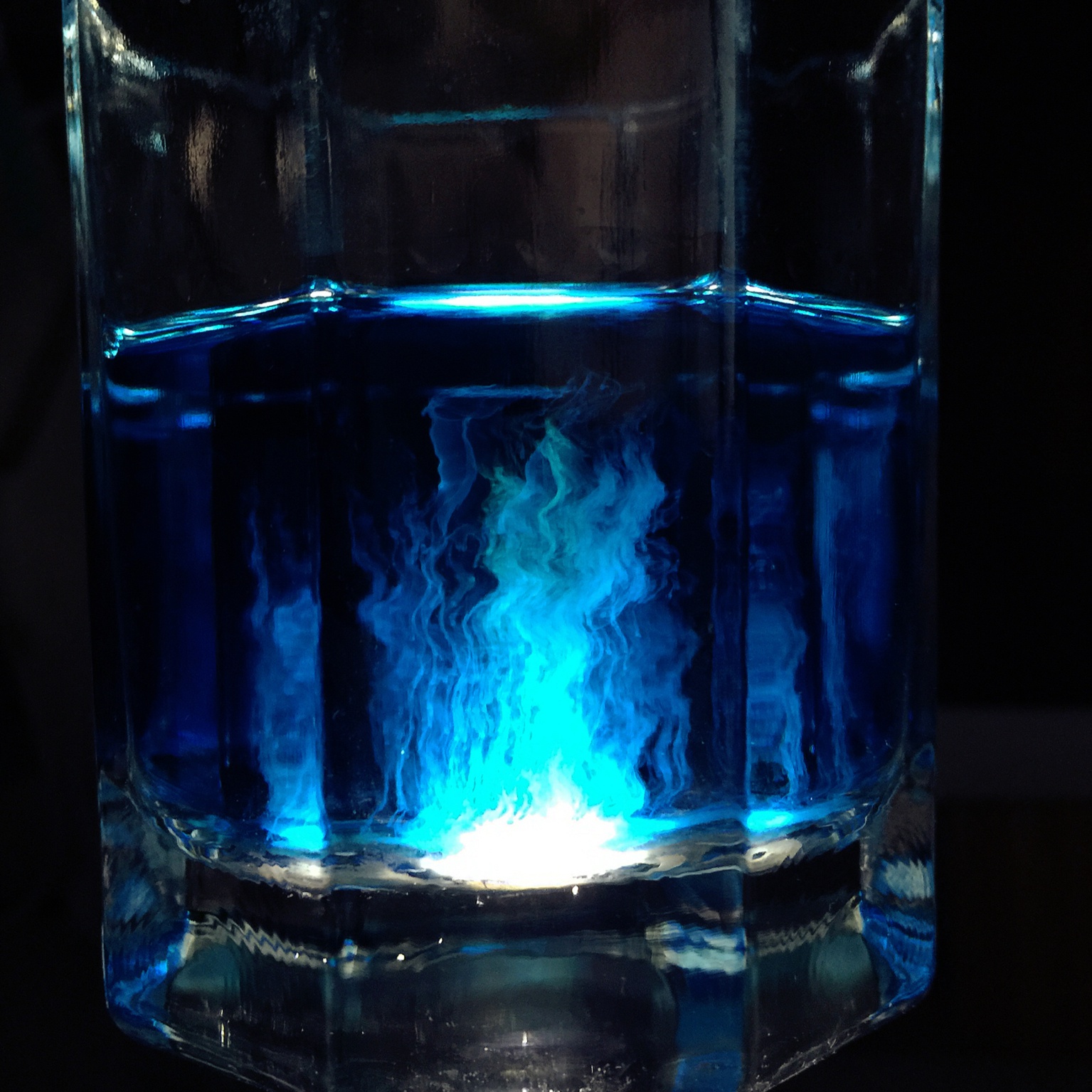 【鸡尾酒】水母