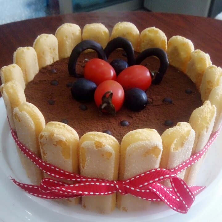 提拉米苏（硬身版）