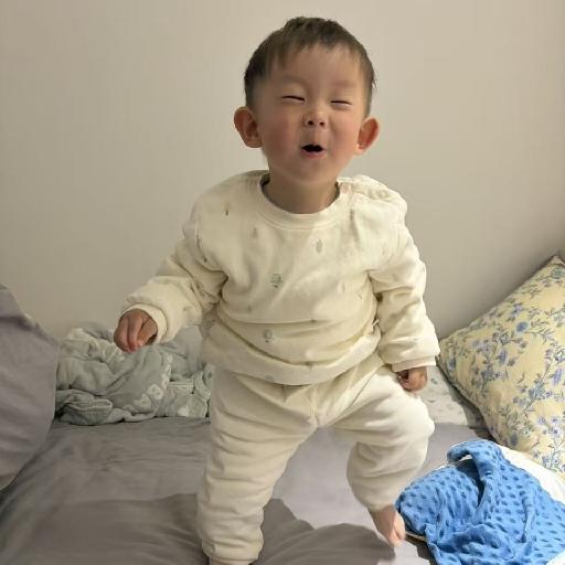 第三岸