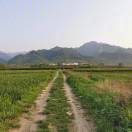 加油媛和妈