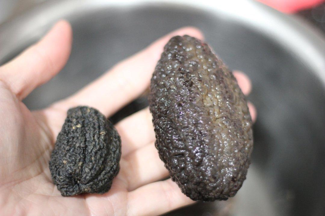 泡发海参的方法