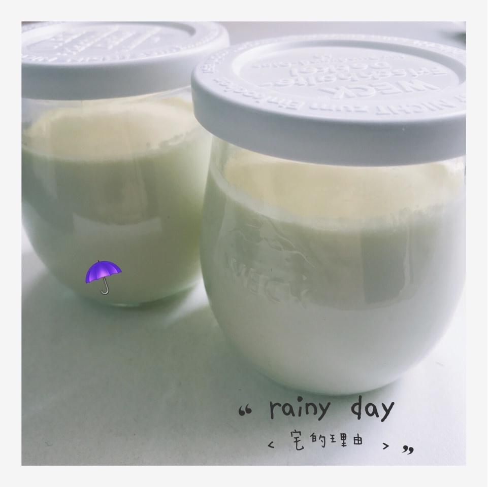 小嶋老师的茉莉奶冻