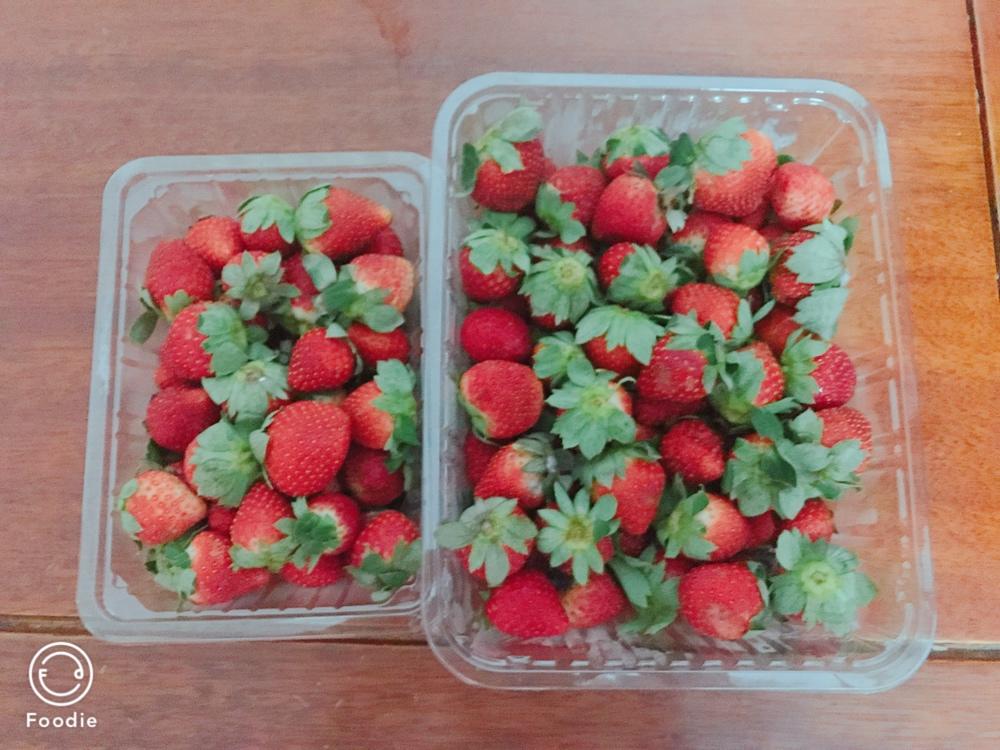 🍓草莓棒棒糖