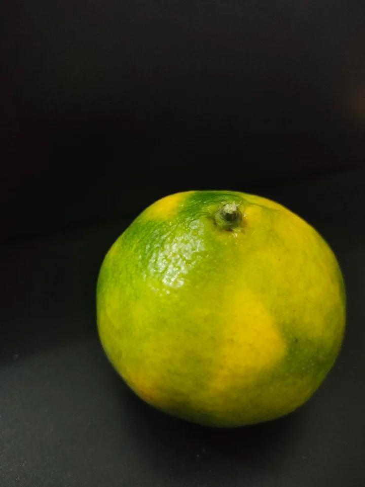 自制吊浆面（汤圆面）