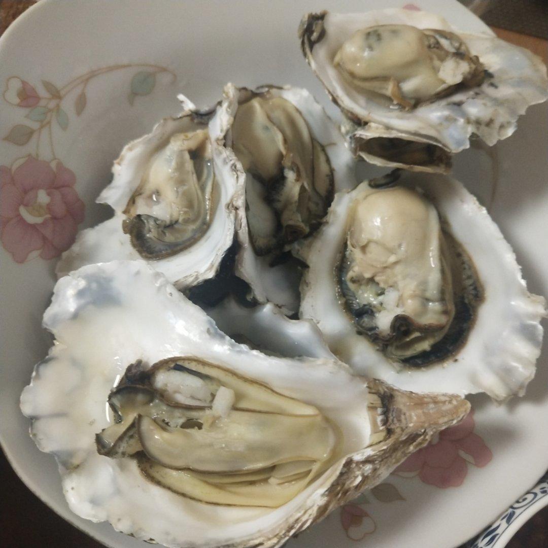 我的杜坎记录