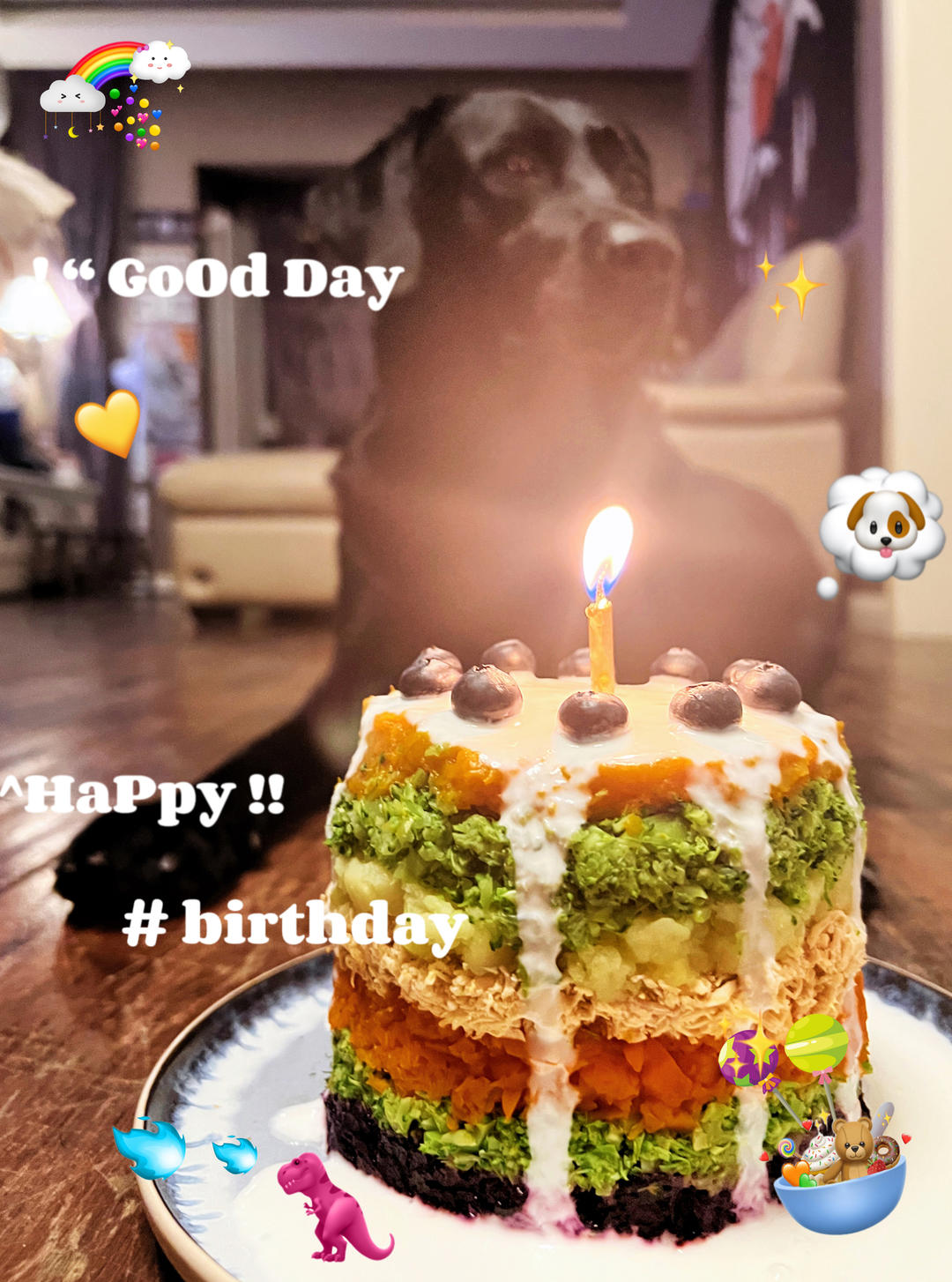 给狗狗做生日蛋糕