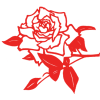 淋漓尽致_rgdb