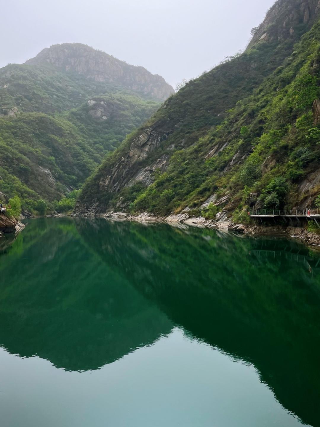 香菜修炼饭灵根
