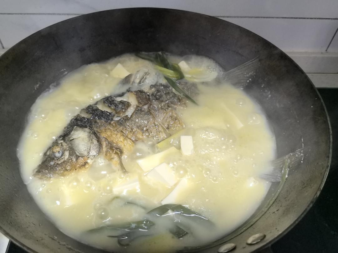 奶白鲫鱼豆腐汤|一条鱼最后的温柔