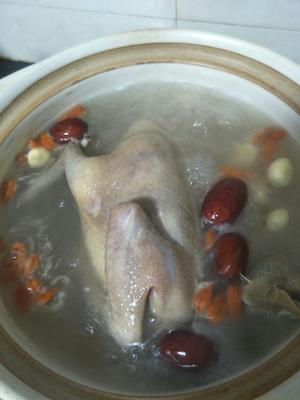 鸽子汤的做法 步骤3