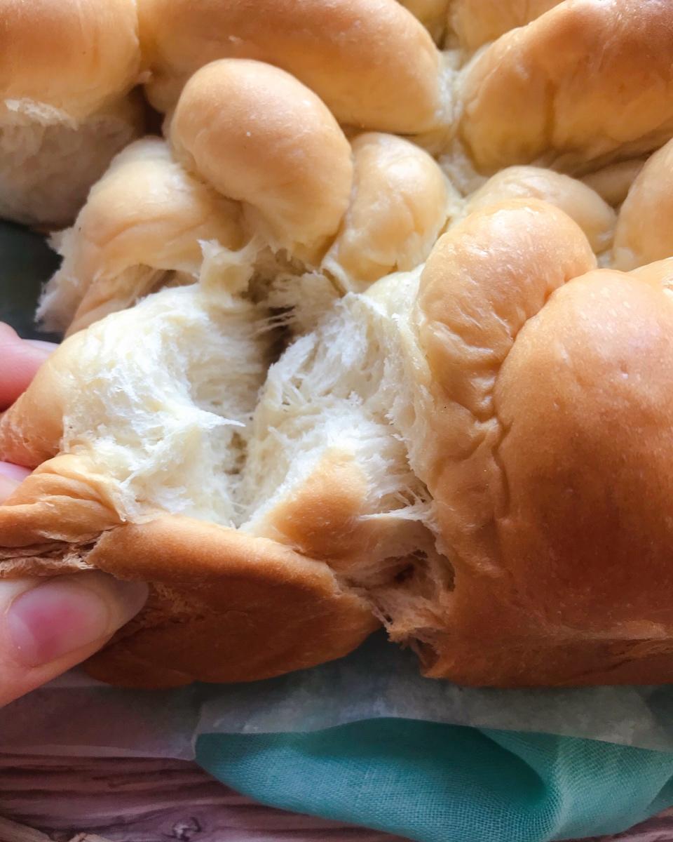 老面包（中种法）