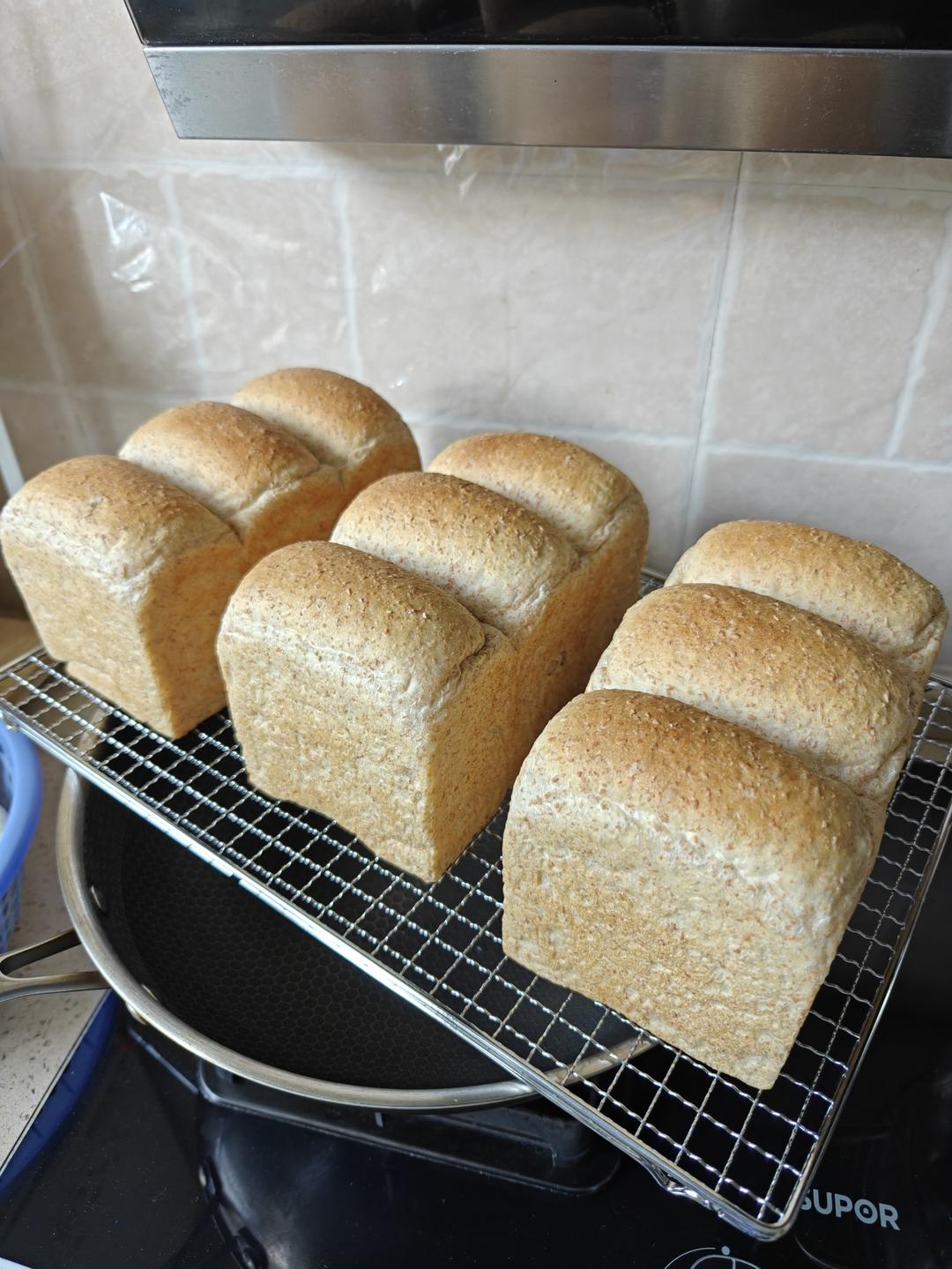 试过无数全麦吐司，还是这款40%全麦生吐司最好吃！