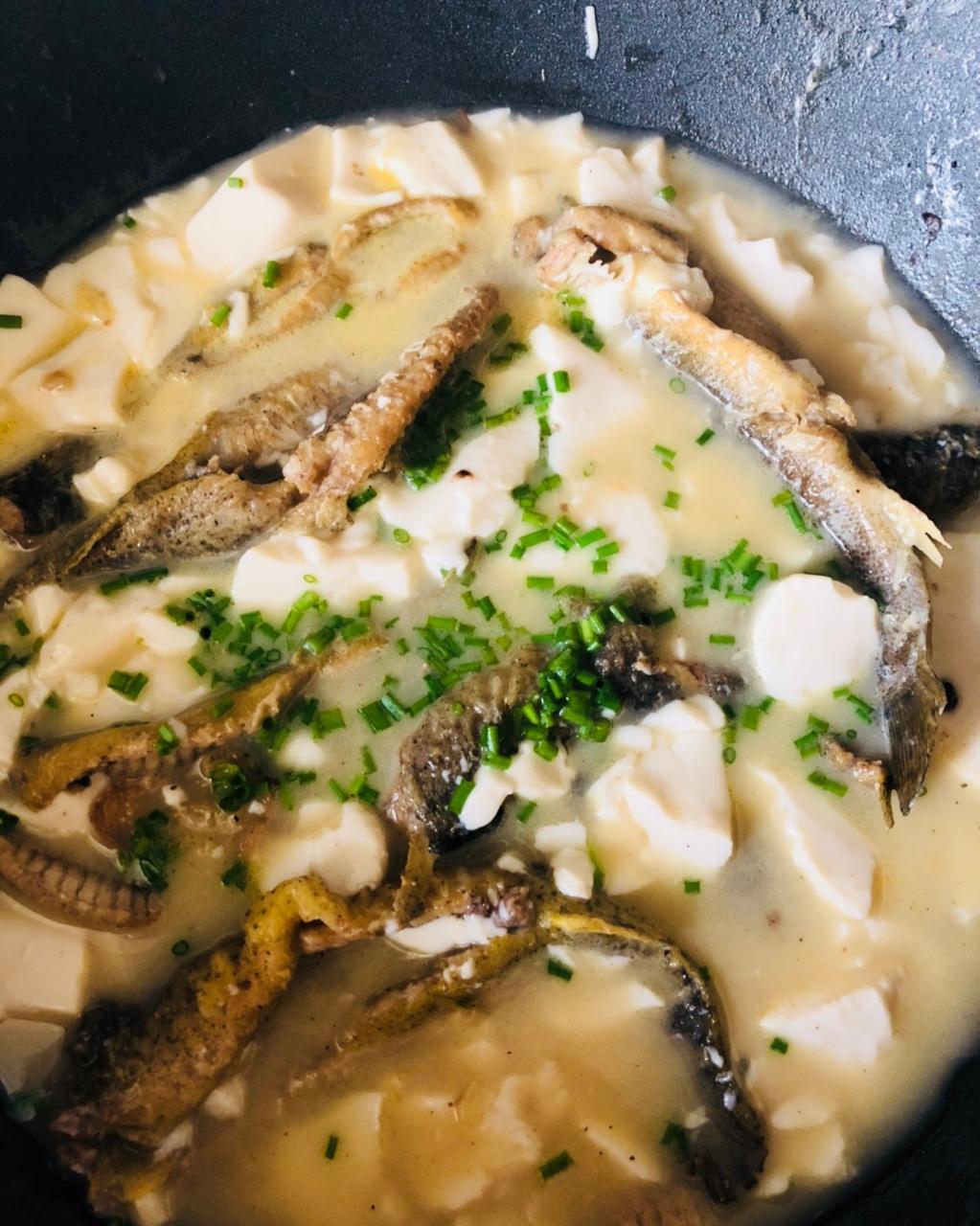泥鳅炖豆腐（小贴士附杀泥鳅方法）