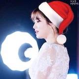 勇往直前的叶子