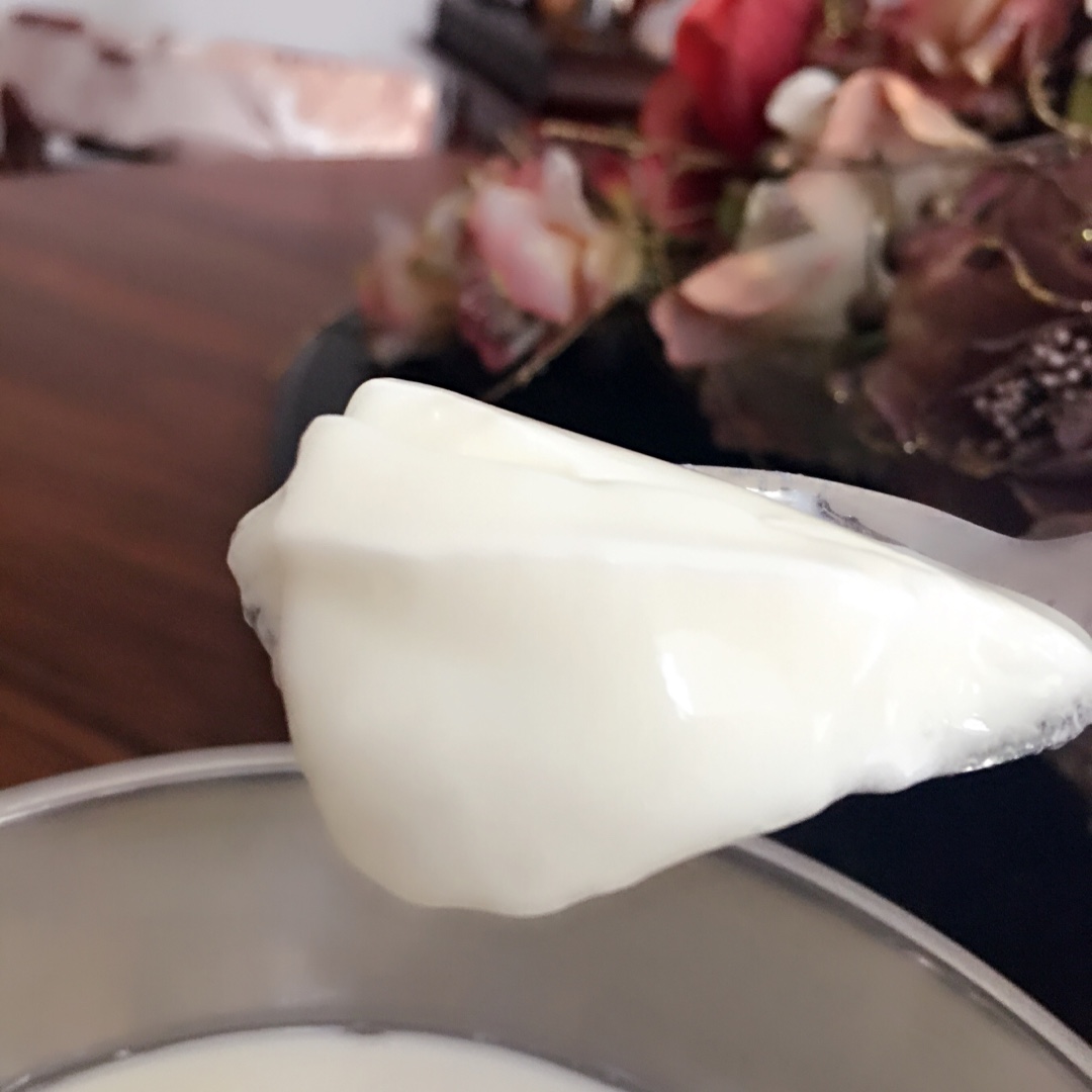 烤箱自制酸奶  Homemade Greek Yoghurt