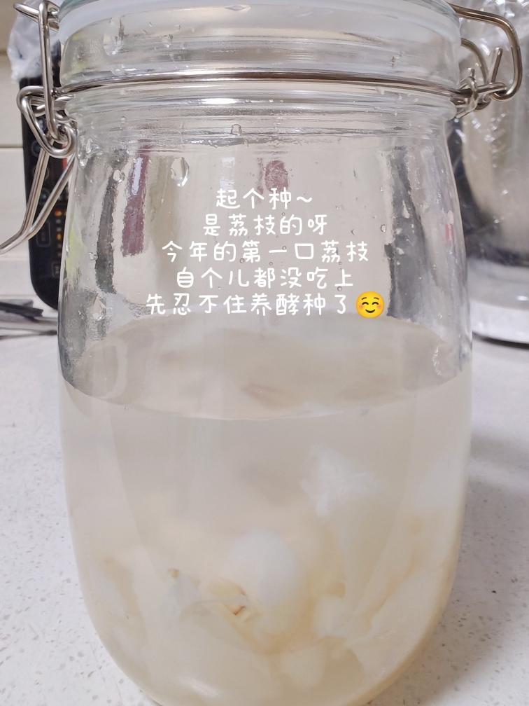 野生酵母--凤梨