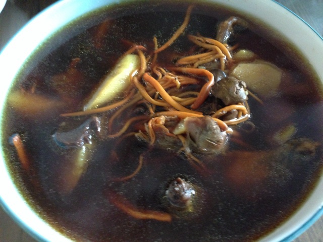 炖鸽子汤