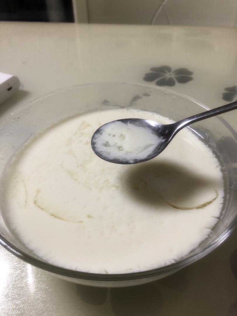 姜撞奶（零失败 估计这是最详细的姜撞奶教程了）