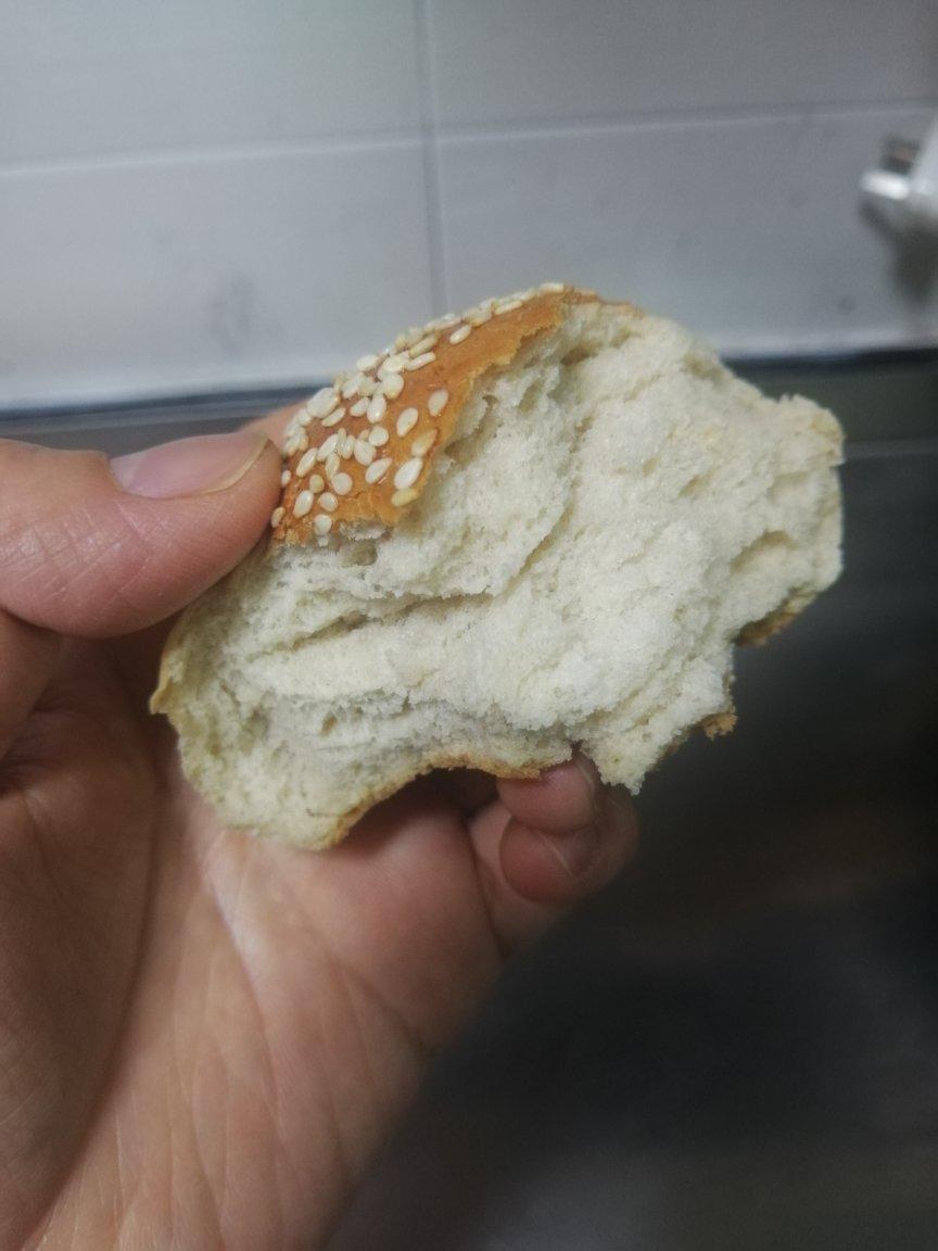 100%纯全麦吐司 中种法