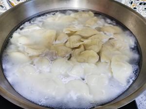 酸菜肉水饺的做法 步骤16