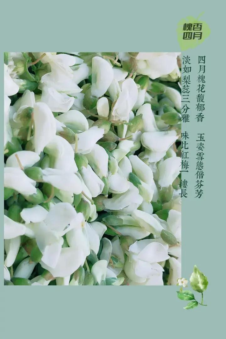 春季时令菜之蒸槐花