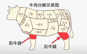 牛肉的部位图解与做法(来自度娘)的做法 步骤35