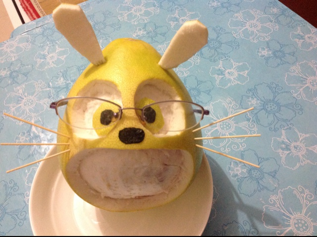 顽皮柚子龙猫
