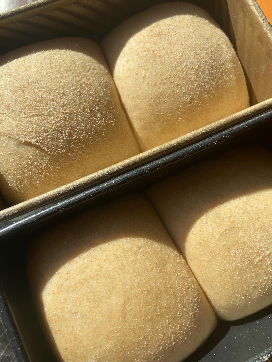 【健康烘培】超低卡黑全麦吐司