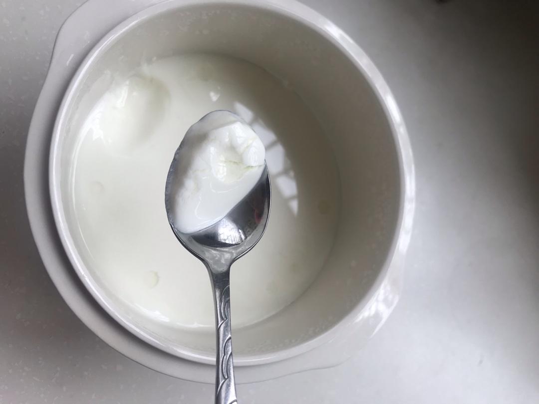 自制酸奶（隔水炖）