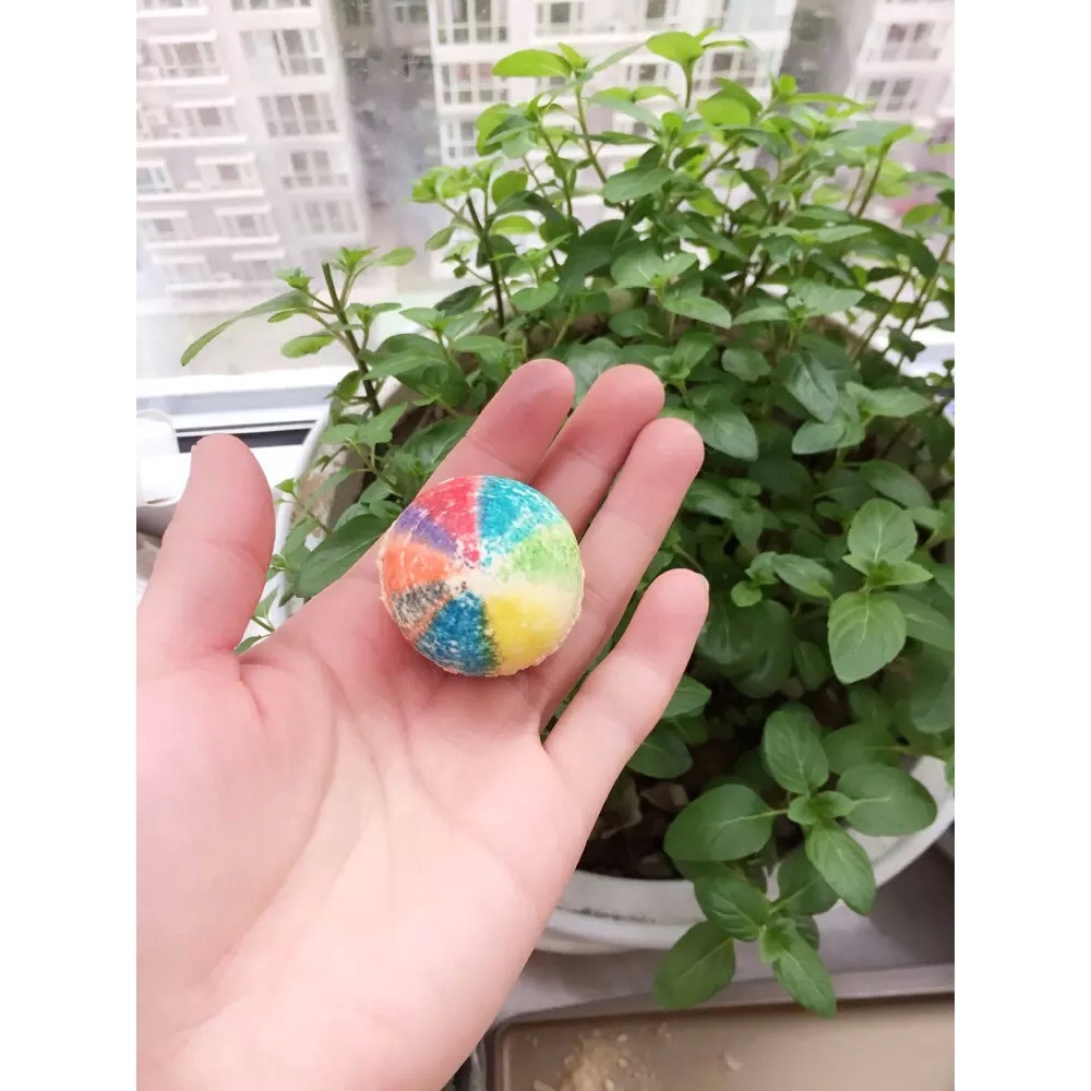 我的马卡龙日记